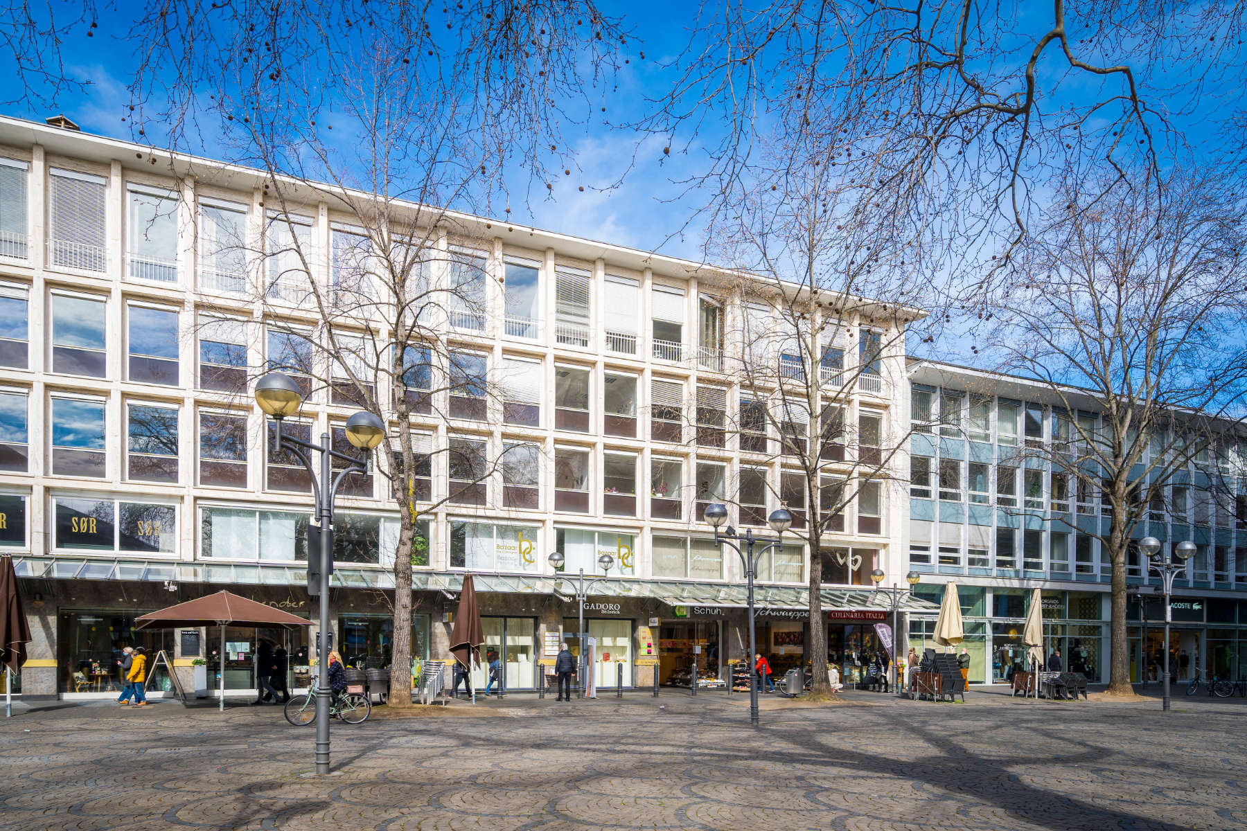 Helles Wartezimmer mit Pflanzen – Zahnarzt Köln Neumarkt